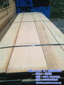 綠色生態板十大品牌——閩南人木業 認證實力與品質保障