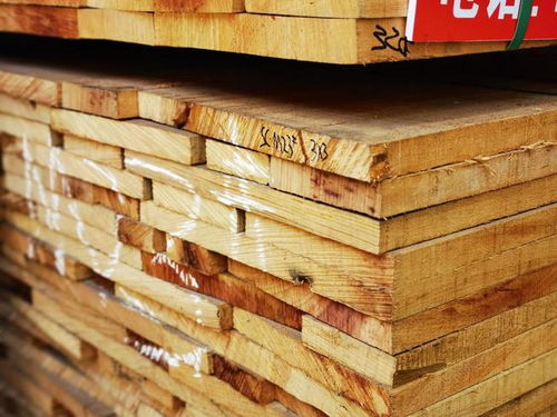 加納木材市場(chǎng)遭遇寒冬 價(jià)格斷崖式下跌，最大跌幅超五成